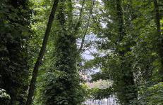 The Water Works Cottage - Foto 33