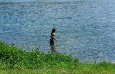 Queen bee's nest - Foto 1