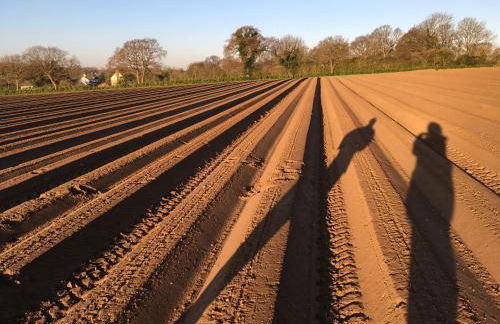 The Old Stable at Manor House, Middleton - Foto 28