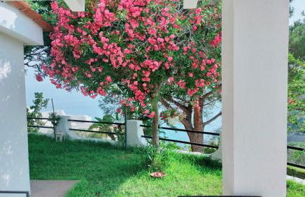 Dimore Acquasale- Sea View Houses - Photo 10