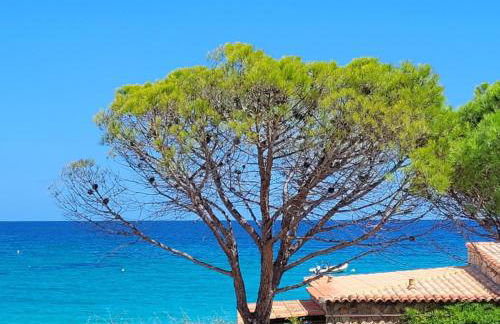 Dormir en Corse du Sud T3 4 pers Vue Mer, Plage à pied - Foto 2