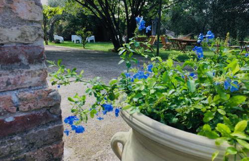 Az. Agr. Parco dei Buoi - Foto 14