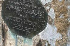 The Old Dairy Steep,Petersfield in Collyers Estate in the South Downs National park - Foto 2