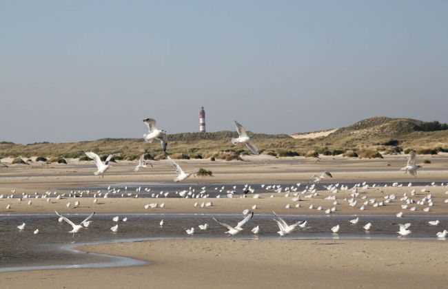 Cozy Apartment on the Canal - Foto 9