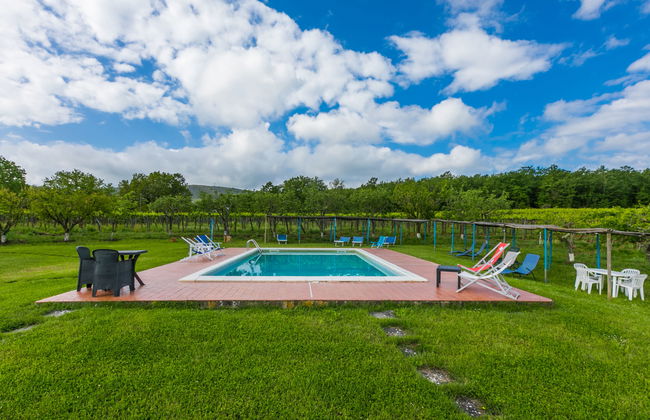 Fattoria Petraglia - Terrazza - Foto 17