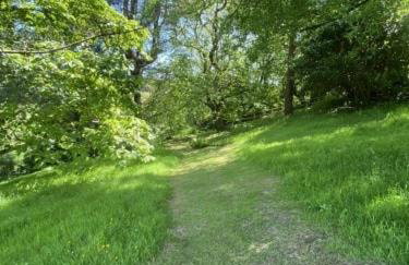 Hansel Cottage - Foto 32