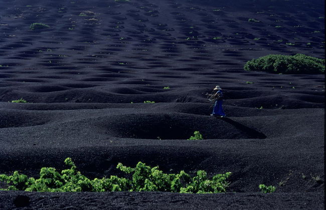 Alla scoperta di Lanzarote - Tour di un giorno intero - Foto 6