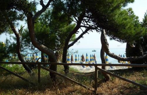 Ficus Pineto Vacanza - Foto 10