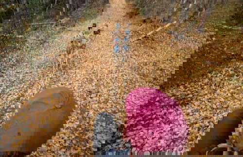 Mushing en Willow, paseo en trineo de perros en verano - Foto 3