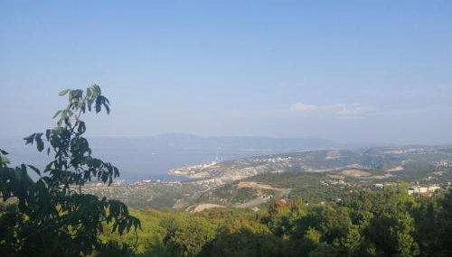 FoREST Heritage Apartment - Foto 3, Garden view
