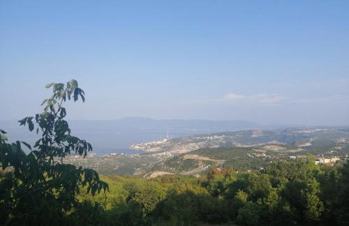 FoREST Heritage Apartment - Foto 3