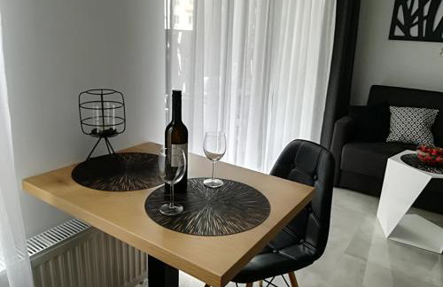 Apartament Wrocław Centrum Dorzecze Legnickiej - Photo 32