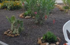 Eolie Residence - Foto 21