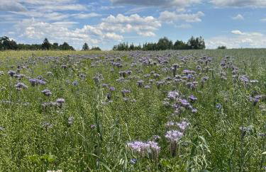 Filipowe Zacisze - Foto 8