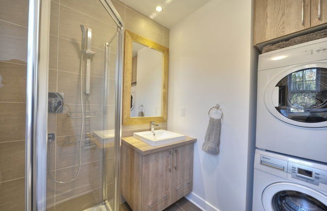 Domaine du parc de la forêt ouareau - Photo 24