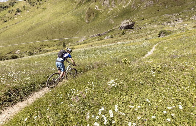 Apartment Anemone - Photo 13