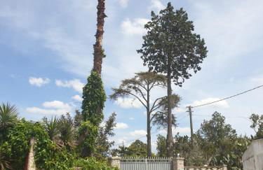 Villa Sargheruoli - Foto 31