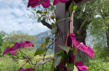 Villa Pelvoux Edelweiss - Foto 29