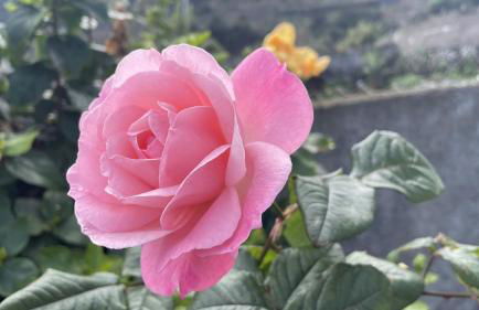 Casas das Hortas, Apartamento Vista Mar - Foto 19