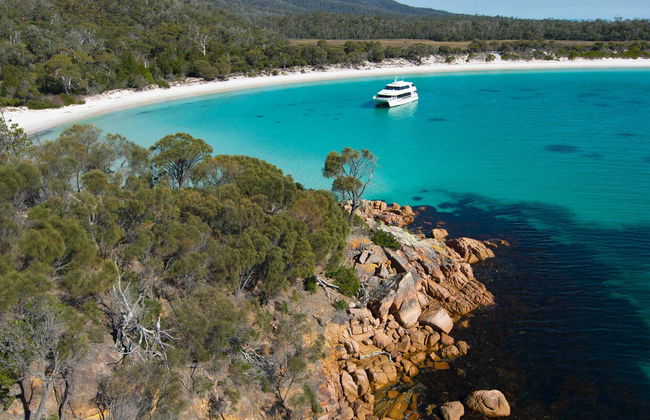 Freycinet Peninsula & Wineglass Bay Lunch Cruise - Photo 6
