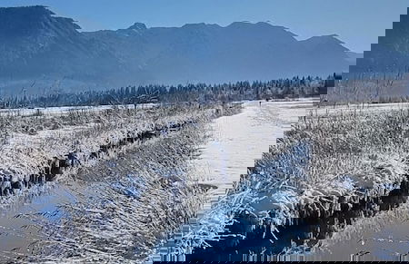 Villa Alpenpanorama - Foto 1