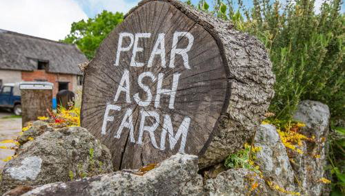 The Old Bull Stall - Foto 3