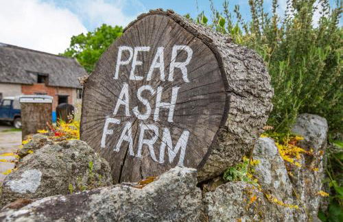 The Old Bull Stall - Photo 3