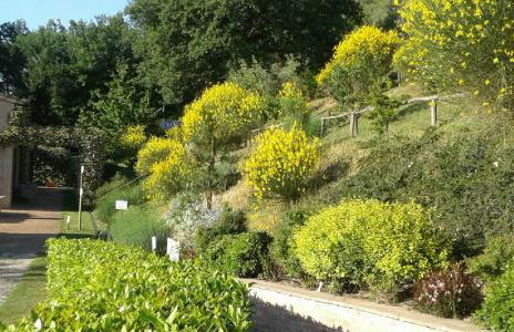 Hotel & SPA L'Antico Forziere - Foto 55