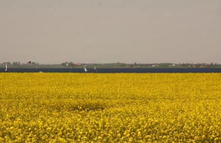 Ferienhaus Strandmuschel am Ostseestrand Zierow - Photo 25