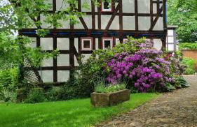 Wolfsmühle - Foto 48