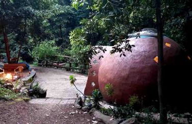 Private Glamping Getaway in the Redwoods near Santa Cruz, California - Foto 10