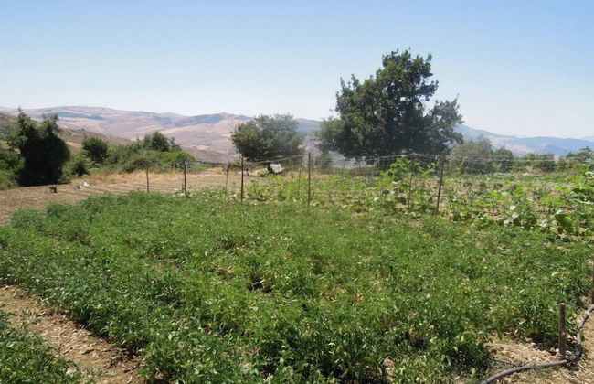 Agriturismo Cuca - Photo 10