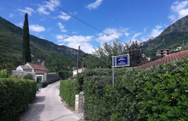 Old House Morinj - Tara - Foto 26