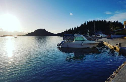 Apartman OZANA - Photo 55