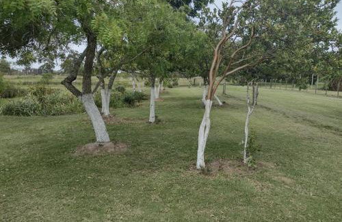 Pousada das Palmeiras - Foto 33
