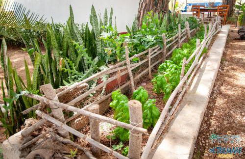 Oltremare - Photo 57