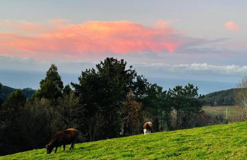 Apartamentos Rurales El Fresnu - Foto 79