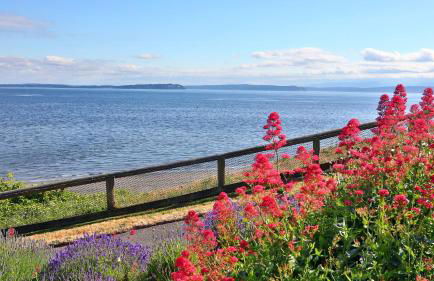 Beachfront Condo - Mutiny Bay by Avantstay Views - Foto 62