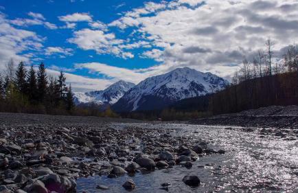 Glacier Creek Cabins - Foto 2