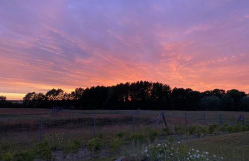 Haus zwischen Mühle und Meer - Foto 13