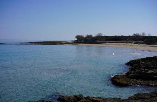 Masseria Pezze Galere Piscina privata - Foto 53
