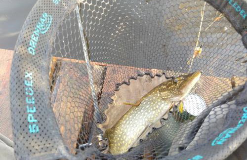 Dom pod Jabłonką - Foto 19