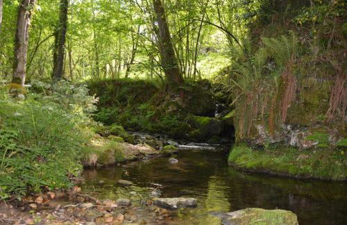 Apartamentos Rurales Piedrafita - Foto 69