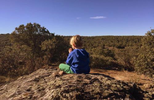 La Casona de Requijada a 6km de Pedraza con Piscina - Foto 49