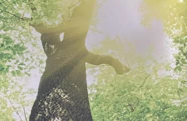 ZumGlückFrei - Foto 22