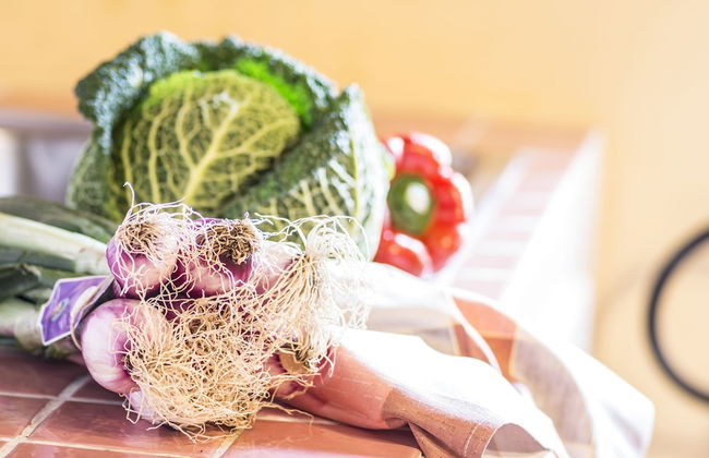 Croce di Bibbiano - Photo 74