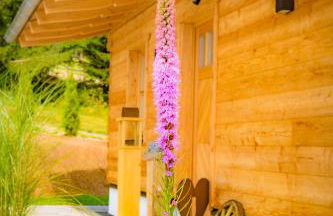 Das Wistlberg Wohlfühlchalet - Foto 20