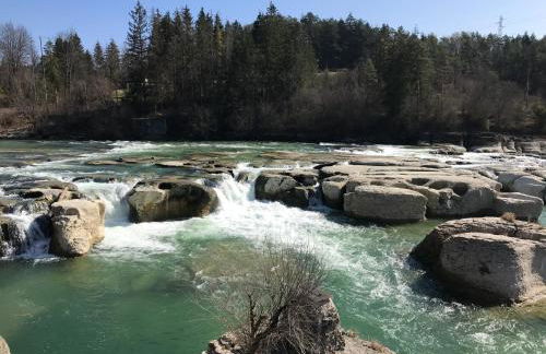 Les 4 gites de la Saisse - Foto 31