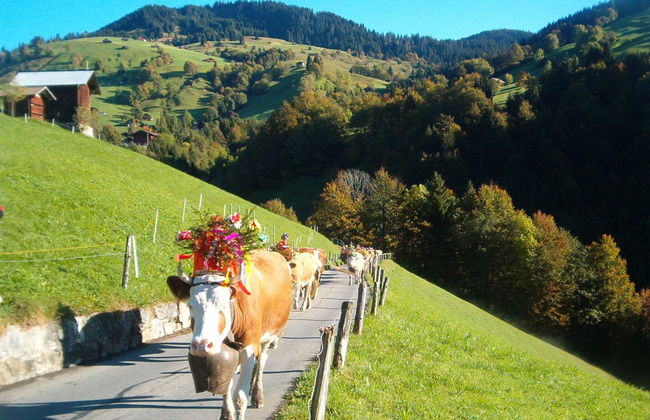 Hubertus A - Foto 18