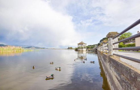 Villa Lavandaia Toscana - Foto 37